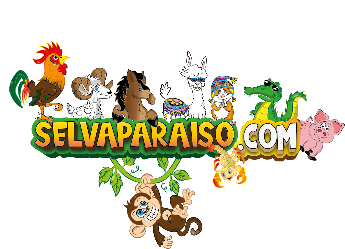Selvaparaiso.com